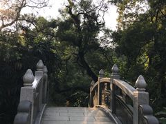 -人民公园(罗湖区)