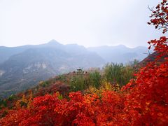 -周口店坡峰岭风景区