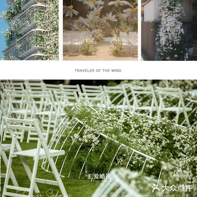 三亚婚礼｜艾迪逊婚礼｜小雏菊花海🌼🌼