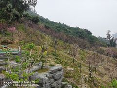 -小南山公园