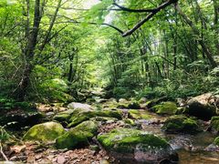 -丹东天桥沟景区