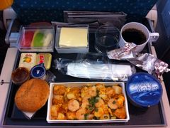 -新加坡航空公司(ION)