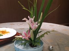 -宋宴(虎跑店)