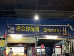 -杨合林啊兰烤鱼