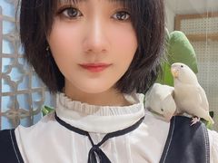 -吉丁鸟咖·异宠·寄养