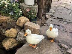 -竹泉村旅游度假区