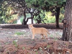 -上巴拉卡花园和下巴拉卡花园