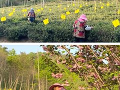 -南京金牛湖风景区