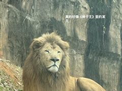 -杭州野生动物世界