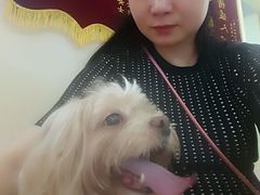 -瑞鹏宠物医院华南总院·夜诊·心脏科·骨科