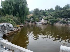 -北京西山国家森林公园