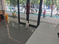 -贝利宠物医院·骨科·眼科·肿瘤转诊中心(南坪诊疗中心)