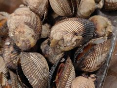 -周记老沈阳焦火鸡架