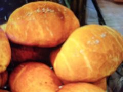 -都恩客(高岛屋百货店)