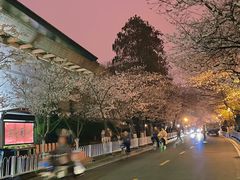 -鸡鸣寺