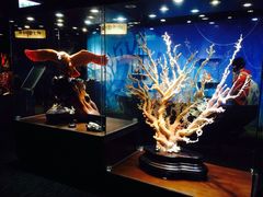 iphone_upload_pic-绮丽珊瑚(台北101旗舰门市店)