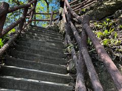 -缙云山景区