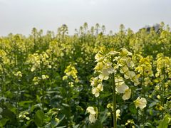 -中国天府农业博览园