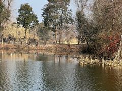 -溱湖国家湿地公园