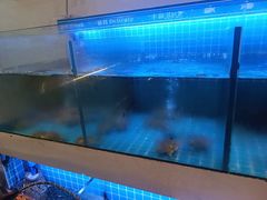 -鹅香四海·卤水火锅·砂锅粥·潮汕菜(宝安店)
