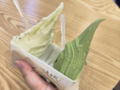 -野人先生Gelato(上海长宁龙之梦店)