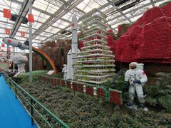 -兰陵国家农业公园