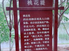 -桃花堤公园