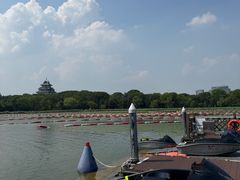 -金鸡湖桃花岛