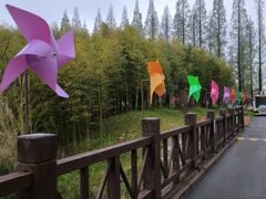 -黄海国家森林公园