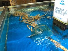 -盒马鲜生(悦峰店)