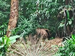 -广州长隆旅游度假区