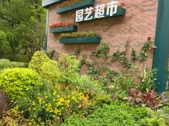 -新江湾城公园