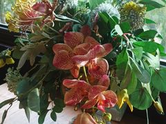 -IFIF 如果花園(宽厚里店)