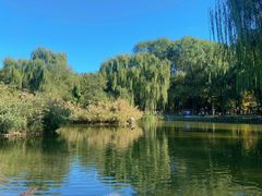 -将府公园