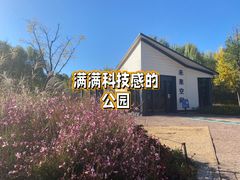 -海淀公园
