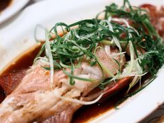 -東海薈。拉斐特(青衣城店)