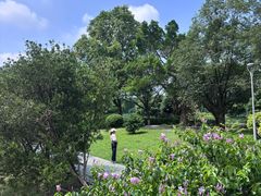 -东莞植物园