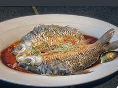 红蒸苏丹鱼-陶家堡·多意食餐饮(益健路店)