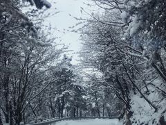 -秦岭风景区