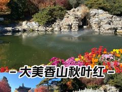 -香山公园