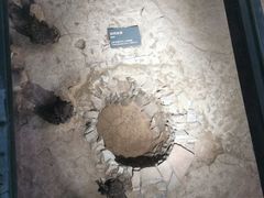 -南越王博物院(王宫展区)