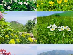 -灵山