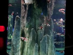 -福州罗源湾海洋世界旅游区