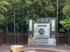 -天目湖涵田半山温泉