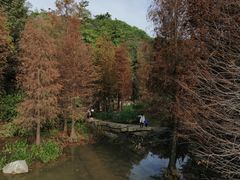 -云溪植物园