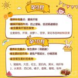 怀孕了🤰每月应该吃什么？