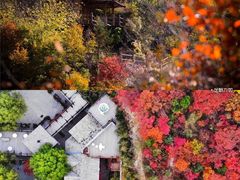 -九如山休闲旅游度假区