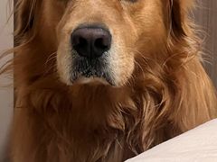 -邢大夫动物医院