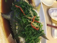 -金鮀岛潮州酒家