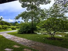 -中国科学院西双版纳热带植物园